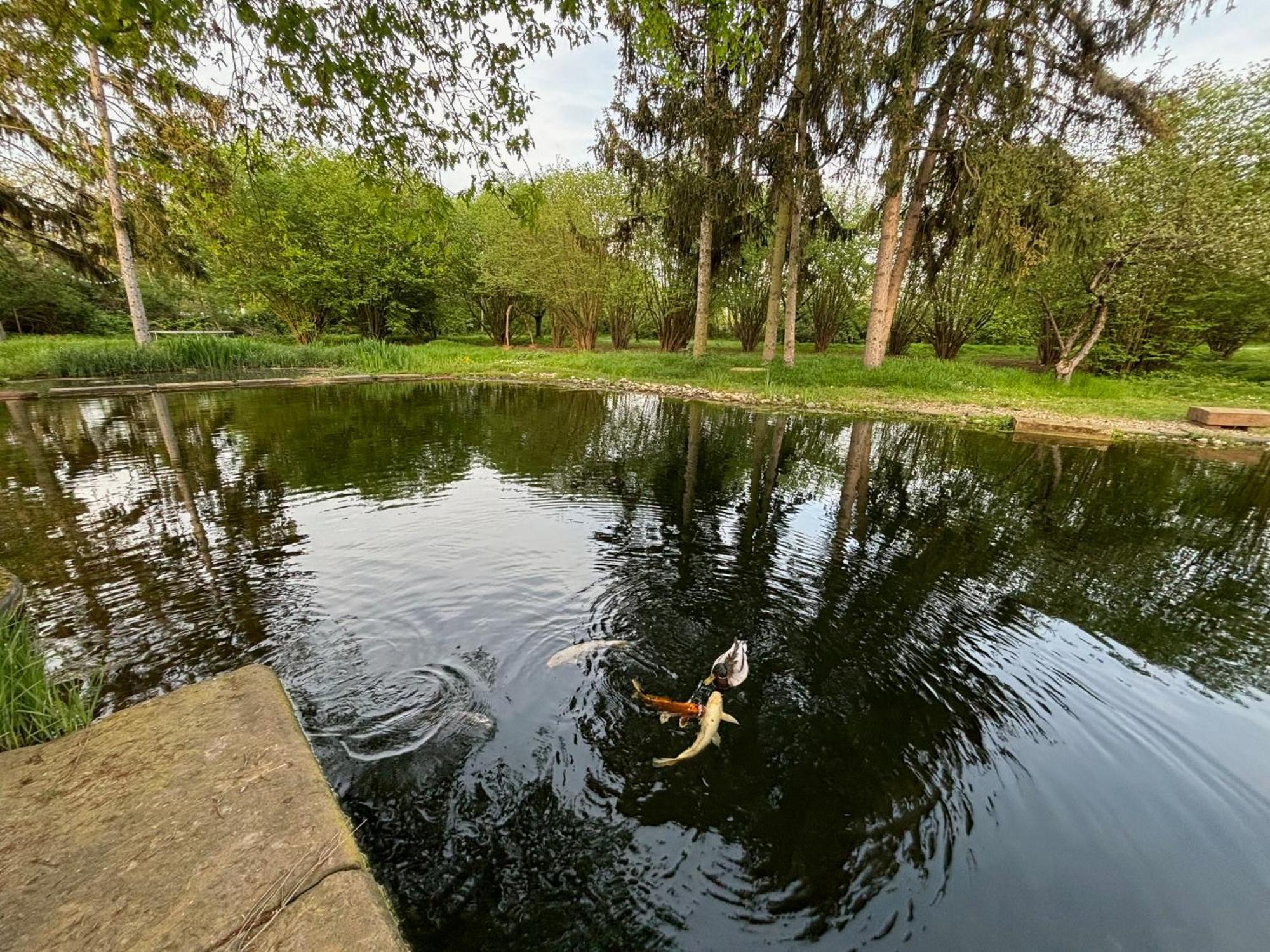 Datscha Am See Worms Bagian luar foto